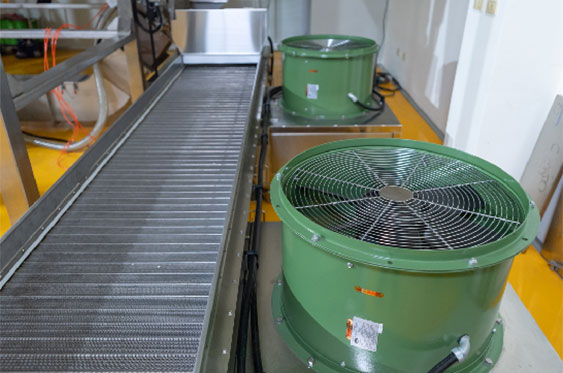 Cooling conveyor｜TSHS Dryer Manufacturer